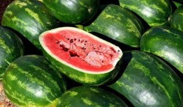 免费吃瓜最新,揭秘网络热点的幕后故事